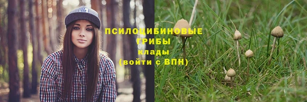 ГАЛЛЮЦИНОГЕННЫЕ ГРИБЫ Беломорск