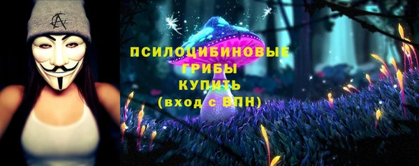ALPHA-PVP Белокуриха