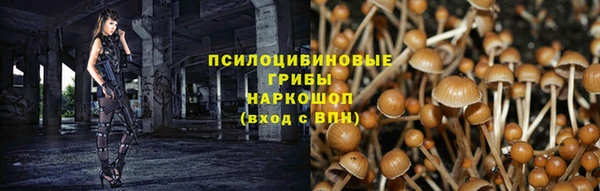 ГАЛЛЮЦИНОГЕННЫЕ ГРИБЫ Беломорск
