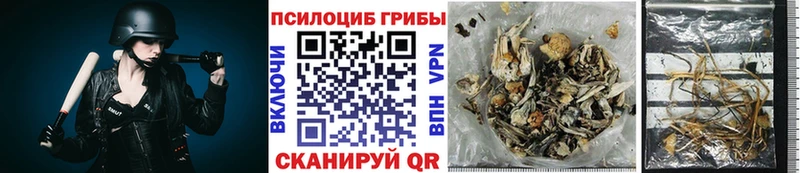 Галлюциногенные грибы MAGIC MUSHROOMS  хочу наркоту  Каменск-Уральский 